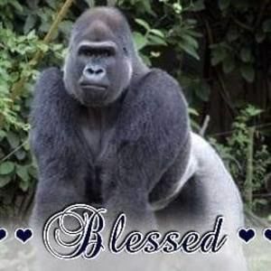 Meet your Posher, Travis